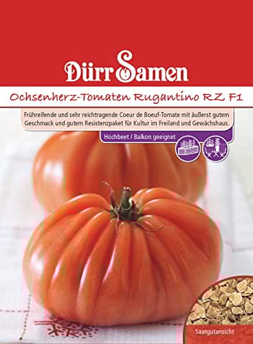 Ochsenherz Tomaten Samen Rugantino RZ F1 Rote Tomate ca 8 Korn Tomatensamen Saatgut Robust Ertragreich Balkon Garten Hochbeet Kübel Dürr Samen