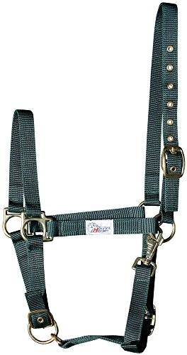 Harry's Horse Halster 3X verstelbaar, Farbe:Olive, Größe:Pony