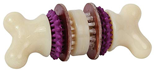 PetSafe - Jouet pour Chien Busy Buddy Bristle Bone (M), Jouet Dentaire avec Friandise – Brosse à Dents pour Chien