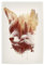 artboxONE Poster 30x20 cm Natur Blind Fox hochwertiger Design Kunstdruck - Bild Fox Forest Fox