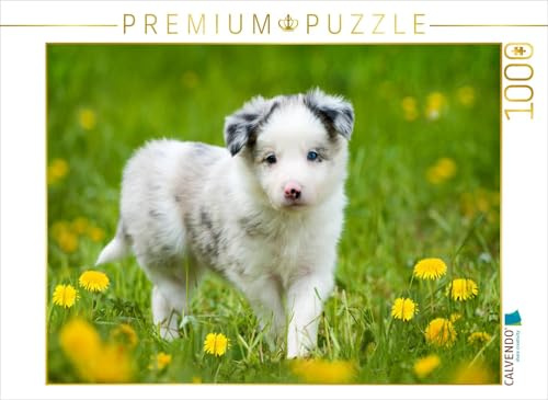 CALVENDO Puzzle Border Collie im Löwenzahn | 1000 Teile Lege-Größe 64 x 48 cm Foto-Puzzle für glückliche Stunden