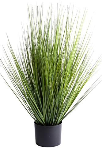 Nova-Nature künstliches Grasarrangement King Festuca im schwarzen Kunststofftopf (grün)