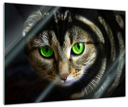 Glasbild - Katze mit grünen Augen - 80x60 cm - Deko Glas - Wandbild aus Glas - Bild auf Glas - Moderne Glasbilder - Glasfoto - Echtglas - kein Acryl - Handmade