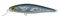Illex Squad Minnow 65 SP Jackall Suspending Wobbler Serie, Illex Farbmuster:NF Ablette
