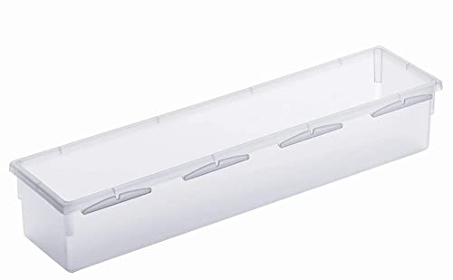 Rotho Basic modulare Ordnungsbox 30x8 cm für Schubladen, Kunststoff (PP) BPA-frei, transparent, (30.0 x 8.0 x 5.0 cm)