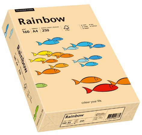 Papyrus 88042505 Drucker-/Kopierpapier bunt, Bastelpapier: Rainbow 160 g/m², A4, 250 Blatt, Matt, Farbe - Lachs