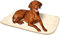 Karlie Liegedecke Medifleece L: 70 cm B: 100 cm beige