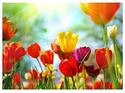 Nice walls Wall Mural COLOURFUL SPRING FLOWERS photo Wallpaper 254x183cm Green and Orange