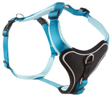 Wolters | Geschirr Professional Comfort in Aqua/Azur | Brustumfang 90 - 110 cm