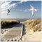 ARTland Wanddeko Glasbilder Wandbild Glas Bild einteilig Quadratisch Strand Meer Nordsee Küste Möwen Himmel Steg Natur Landschaft Dünen T9NJ