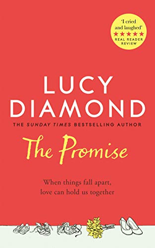 The Promise: A gripping story of love, grief and the lies that can tear a family apart