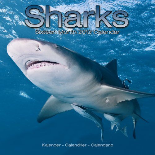 Kalender 2012 Hai - Haie - Shark - Sharks