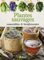 Plantes sauvages comestibles & bienfaisantes
