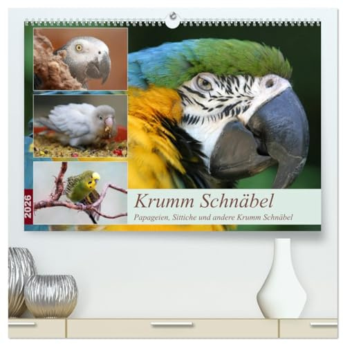 Krumm Schnäbel - Papageien, Sittiche und andere Krumm Schnäbel (hochwertiger Premium Wandkalender 2026 DIN A2 quer), Kunstdruck in Hochglanz: Ein paar ... Kalender fotografiert. (CALVENDO Tiere)