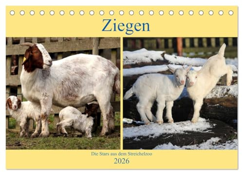Ziegen - Die Stars aus dem Streichelzoo (Tischkalender 2026 DIN A5 quer), CALVENDO Monatskalender: Die meckernden Lieblinge im Tierreich. (CALVENDO Tiere)