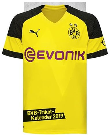 Borussia Dortmund Trikotkalender - Kalender 2019