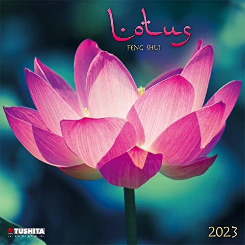 Lotus Feng Shui 2023: Kalender 2023 (Mindful Edition)