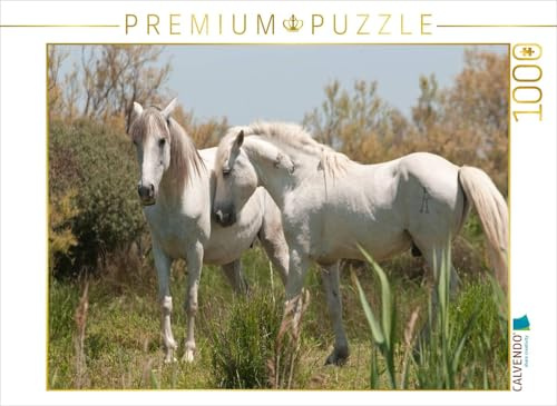 CALVENDO Puzzle Natürliches Pferdeleben in der Camargue: Hengst und Stute | 1000 Teile Lege-Größe 64 x 48 cm Foto-Puzzle für glückliche Stunden