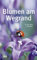 Blumen am Wegrand: In Feld, Wald und Wiese: In Feld, Wald und Wiesen