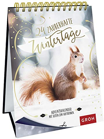 24 zauberhafte Wintertage