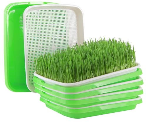 KBIBCK Berros de cultivo de semillas, 5 unidades, para brotes, 32,5 x 24,5 cm, bandeja para semillas de semillas, para judías mungo, alfalfa, hierba de trigo, microgreens, berros