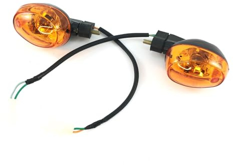 GY6-Ersatzteile.de BLINKER PAAR HINTEN komplett für 2- & 4-TAKT RETRO ROLLER 50 für viele RETRO ROLLER MODELLE BAOTIAN BT49QT-11 MOTOWORX JONWAY BENZHOU YIYING YY50QT-15 SARO BELLA u.a.