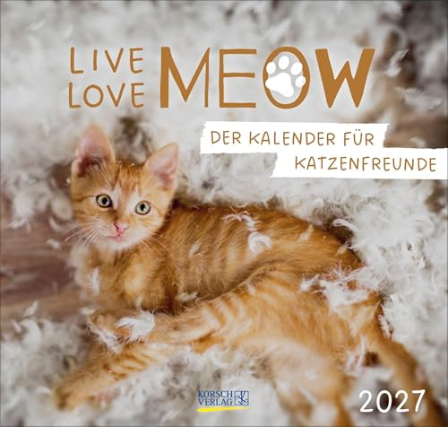 Live, Love, Meow 2027: Geschenkkalender mit Fotos und Sprüchen. Format: 21 x 20 cm.