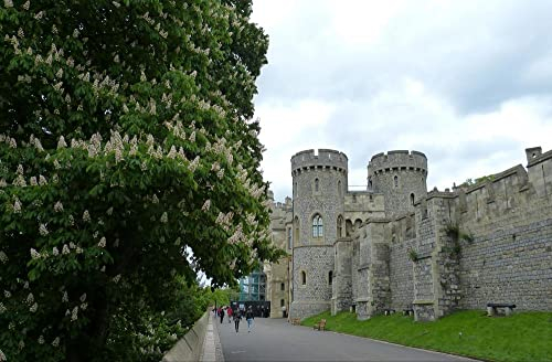 HANSEPUZZLE 22875 - Windsor Castle Puzzle 500 Teile | Reisen Puzzle mit hochwertiger Puzzle Aufbewahrung: Kartonbox und wiederverschließbarem Beutel | Puzzle-Maße: 46 x 30 cm