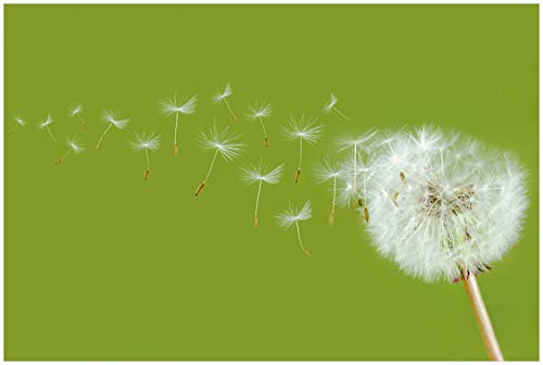 Wallario Glasbild Pusteblume auf der Wiese mit fliegenden Samen - 60 x 90 cm Wandbilder Glas in Premium-Qualität: Brillante Farben, freischwebende Optik