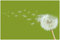 Wallario Glasbild Pusteblume auf der Wiese mit fliegenden Samen - 60 x 90 cm Wandbilder Glas in Premium-Qualität: Brillante Farben, freischwebende Optik