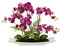 Kunstblume Schmetterling Orchidee in Schale aus Keramik Künstliche Blume Kunstorchidee Phalaenopsis mit Übertopf Kunstpflanze Hochzeit Deko