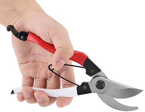 65 Herramienta de Mano de Acero al manganeso para el hogar, Mango cómodo Tijeras para Plantas 6 cm / 2,36 Pulgadas Apertura 20,5 cm / 8,07 Pulgadas Herramienta de jardín co