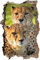 Gougeltd 3D Wandtattoo liebevolles Gepard-Paar Wandaufkleber Kinderzimmer Mädchen wandtattoo Teenager Wandtattoo Wanddeko fürs Kinderzimmer 80x120cm
