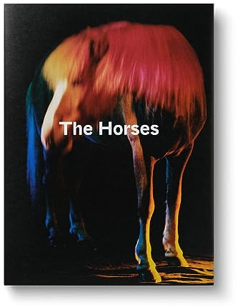The Horses - Gareth McConnell