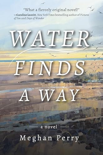 Water Finds a Way a novel