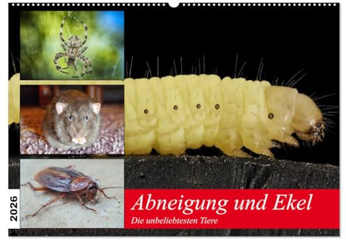 Abneigung und Ekel. Die unbeliebtesten Tiere (Wandkalender 2026 DIN A2 quer), CALVENDO Monatskalender: Diese Lebewesen sind bei vielen Menschen unten durch! (CALVENDO Tiere)