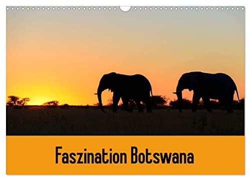 Faszination Botswana (Wandkalender 2026 DIN A3 quer), CALVENDO Monatskalender: Tiere und Landschaften in Botswana (CALVENDO Natur)