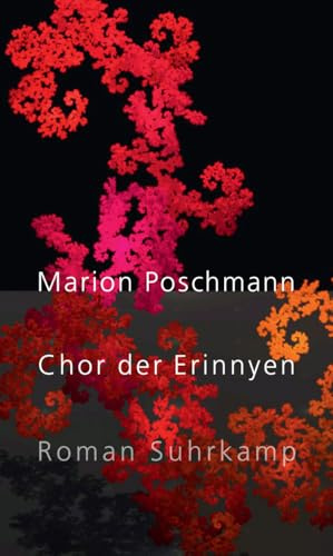 Chor der Erinnyen: Roman | Die Parallelgeschichte zum Bestseller »Die Kieferninseln«