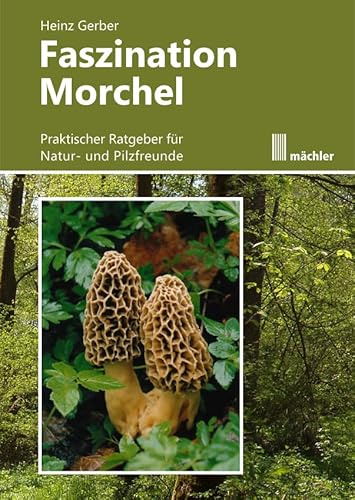 Faszination Morchel: Praktischer Ratgeber für Pilz- und Naturfreunde