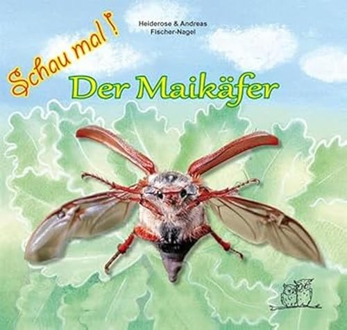 Schau mal ! / Der Maikäfer