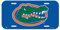 Wincraft NCAA University of Florida 98434512 Nummernschild