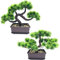 Fycooler Künstliche Bonsai-Kiefernbäume, Pflanzen, grün, japanische Kiefer, Bonsai-Baum, Desktop-Display, Simulation, Büro, Wohnzimmer, Dekoration für Innenbereich, Heimdekoration (2 Stück)