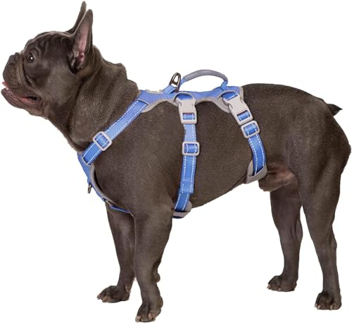 Huntboo Fluchtgeschirr für Hunde,Hundegeschirr ohne Entweichen, Hundegeschirr ohne Ziehen für Große Hunde mit Griff,Reflektierend,Haltbar,Verstellbare Weste für Spaziergänge, Training (Vista blau,XL)