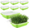 CYEER Pack de 8 Plateaux de Germination pour germes, Plateaux de Culture de cresson 34x25x11CM, Plateaux de Culture de microgreens, kit de Culture de germes pour la Culture de Haricots Mungo, Luzerne