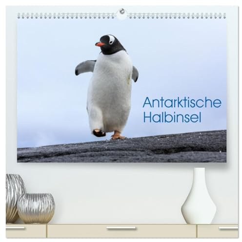 Antarktische Halbinsel (hochwertiger Premium Wandkalender 2026 DIN A2 quer), Kunstdruck in Hochglanz: Tier- und Lanschaftsaufnahmen von der Antarktischen Halbinsel (CALVENDO Natur)