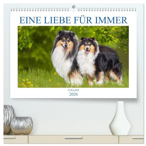 Eine Liebe für immer - Collies (hochwertiger Premium Wandkalender 2026 DIN A2 quer), Kunstdruck in Hochglanz: 13 wundervolle Fotos der Fotografin ... begleiten und durch das Jahr (CALVENDO Tiere)