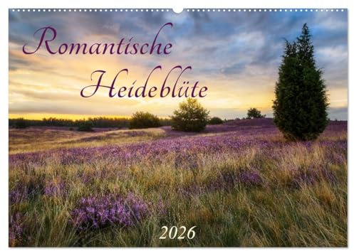 Romantische Heideblüte (Wandkalender 2026 DIN A2 quer), CALVENDO Monatskalender: Ein ganzes Jahr die Heideblüte genießen! (CALVENDO Natur)