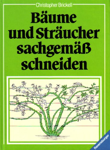 Bäume und Sträucher sachgemäß schneiden