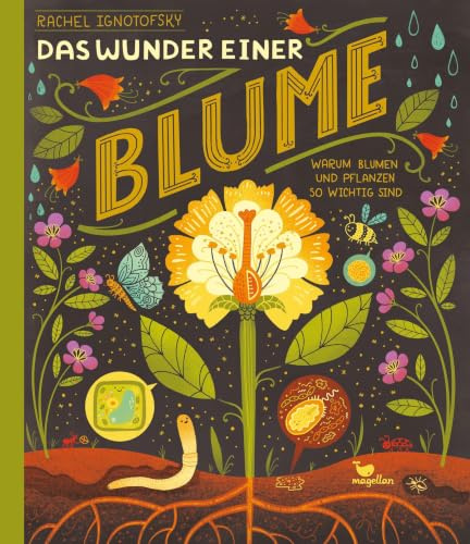 Das Wunder einer Blume - Warum Blumen und Pflanzen so wichtig sind (Wunder der Natur)