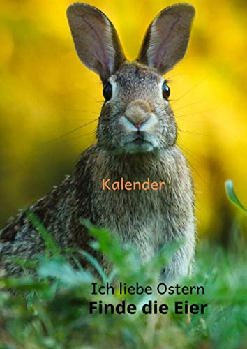 Kalender Ich liebe Ostern Finde die Eier: Finde das Nest und die Eier